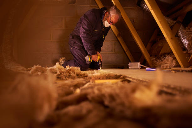 Types of Insulation We Offer in Martinez, GA